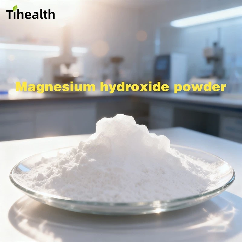 Magnesium Hydroxide API Powder CAS 1309-42-8 factory
